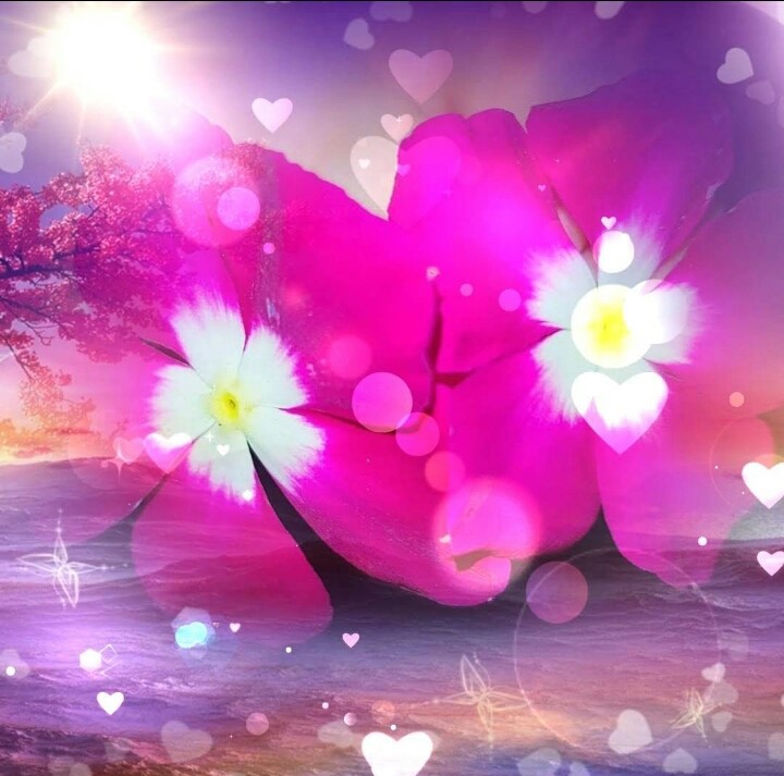 Flower's
