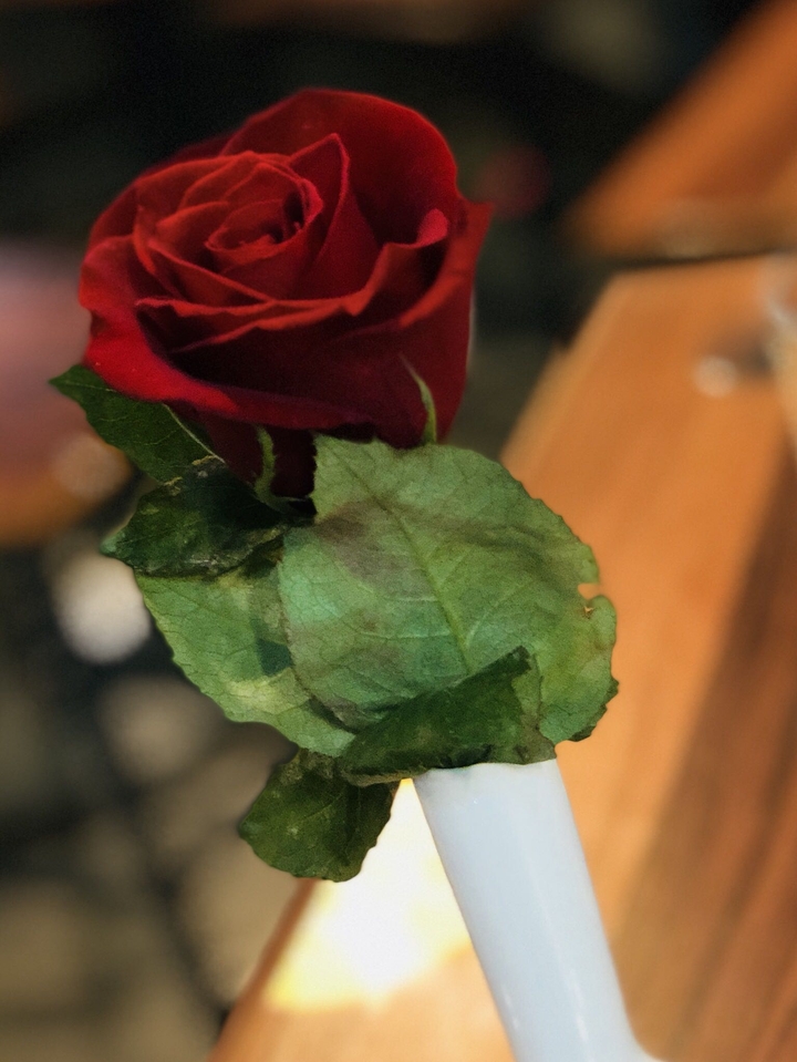 rose