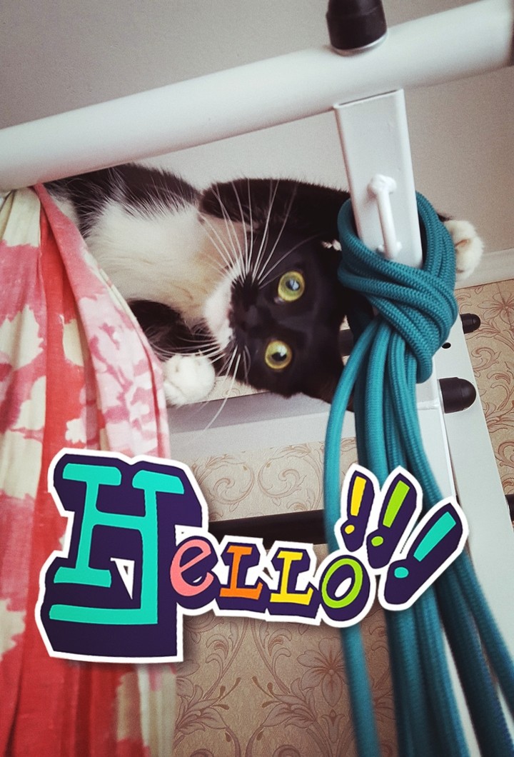 hello