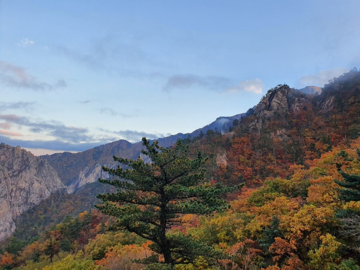 설악산