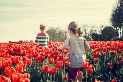 childs in flowers land