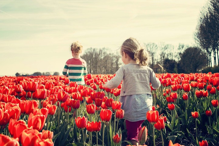 childs in flowers land