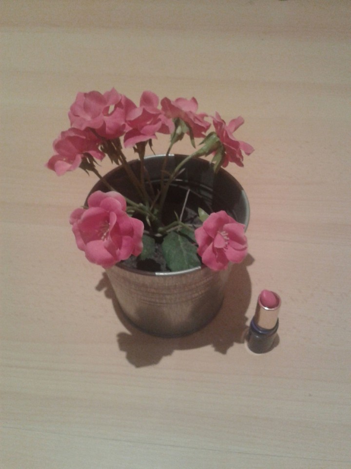 rosa