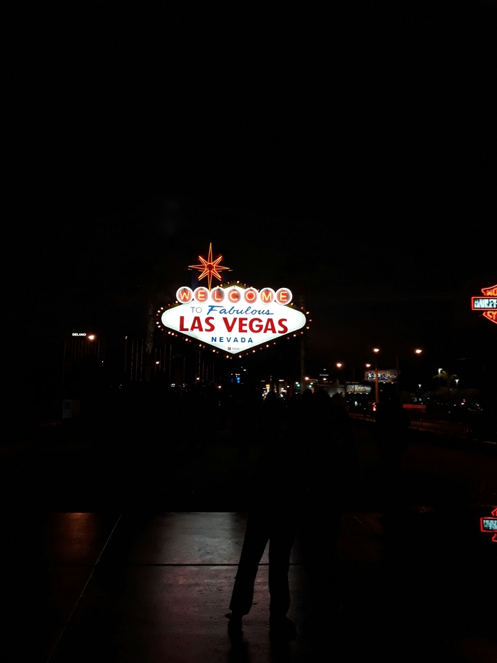 las vegas sigin