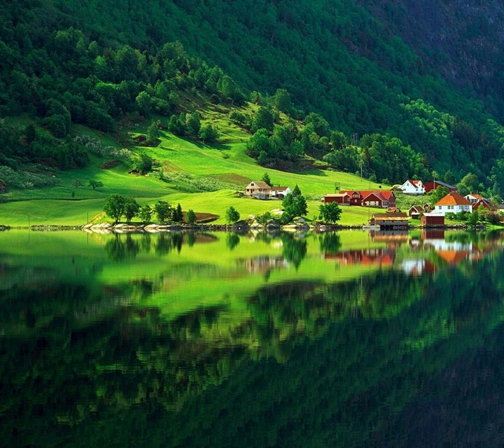 houses