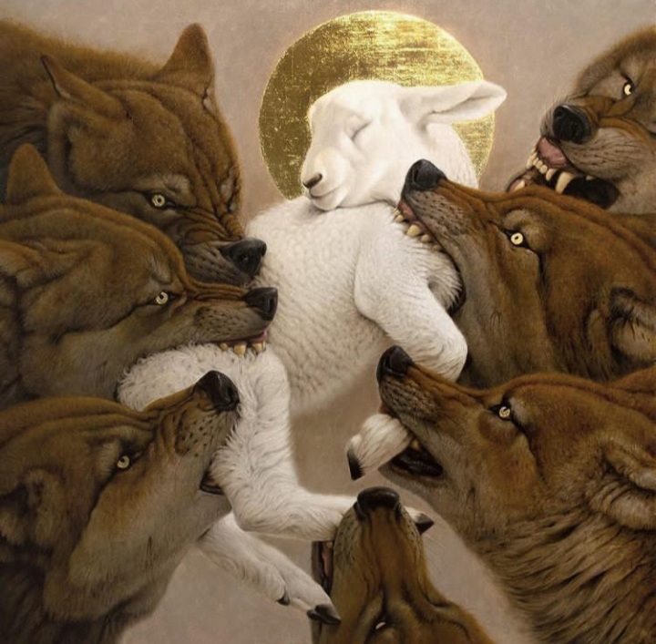 sfondi Art, snout