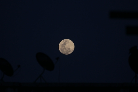 Moon