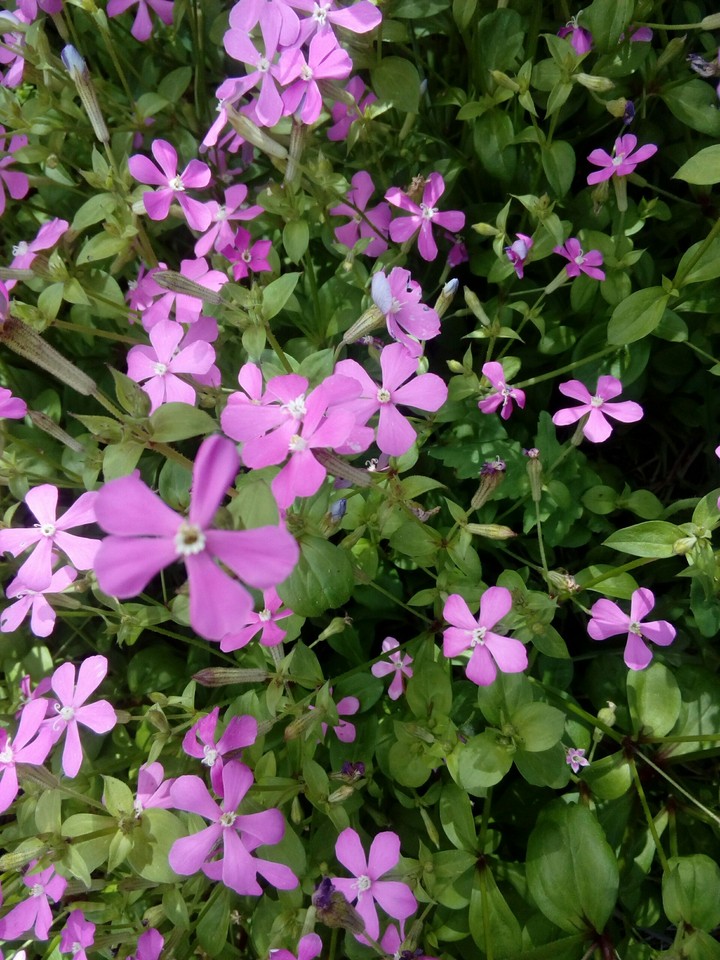 Into the depths of the purple