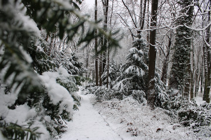 Winter