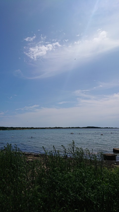 Sunday morning in Sweden