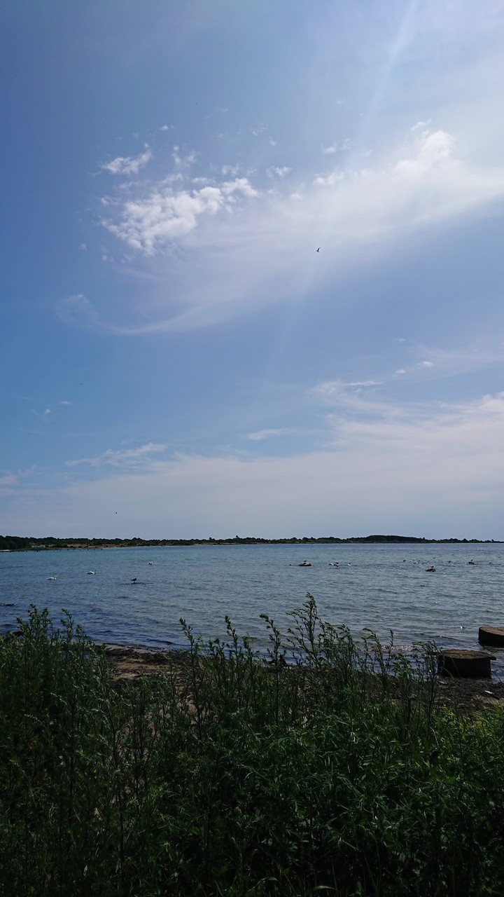 Sunday morning in Sweden