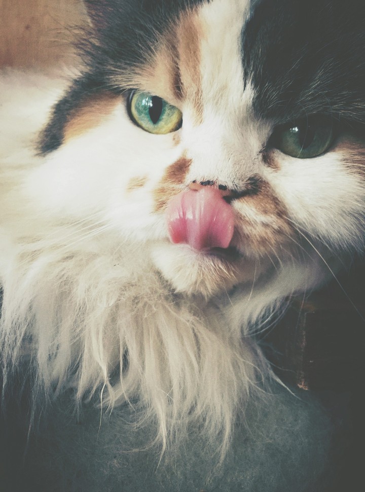 :P