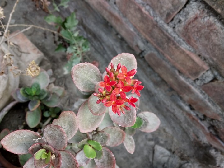 My photography ?