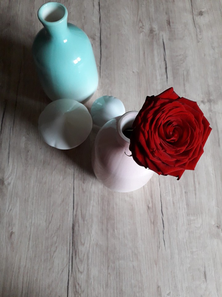 rose