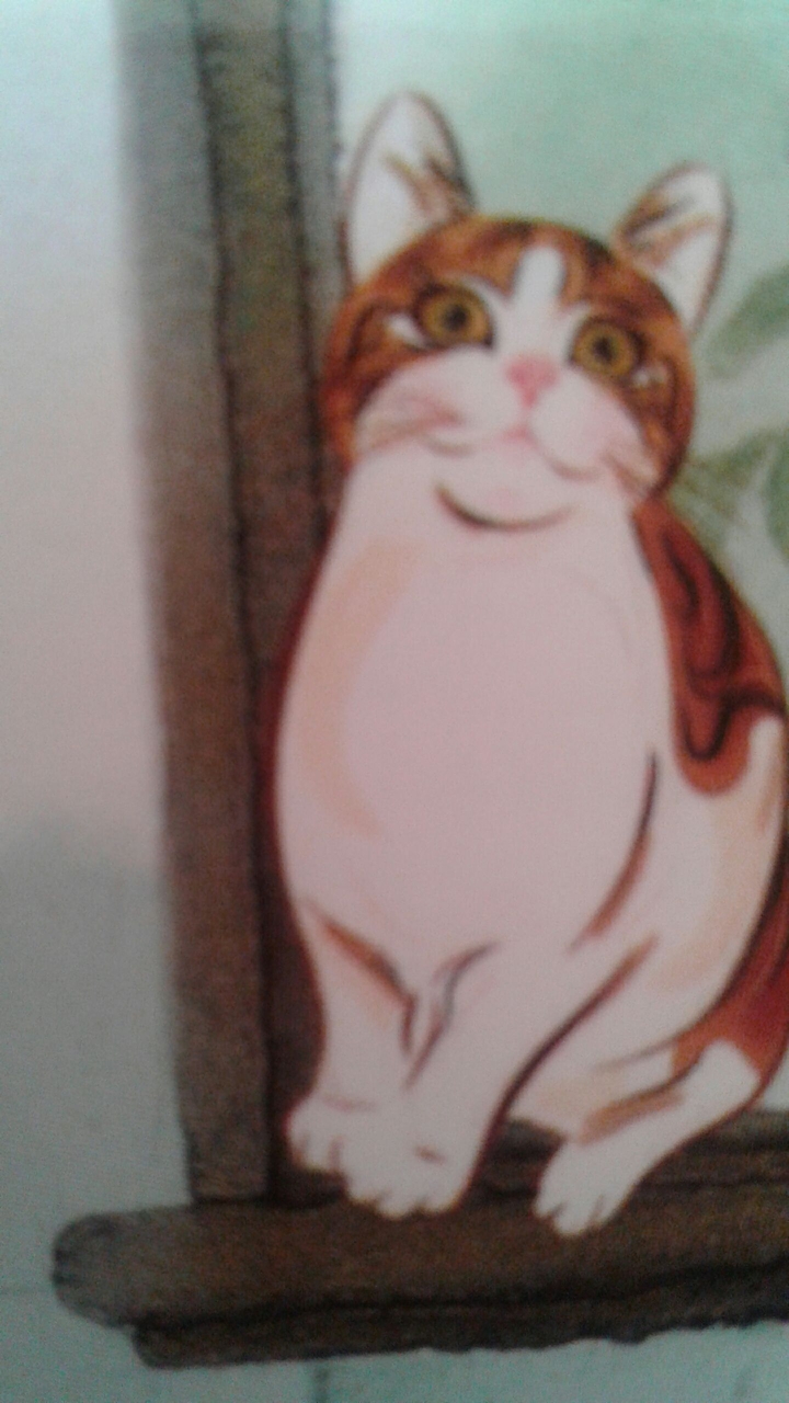 cat