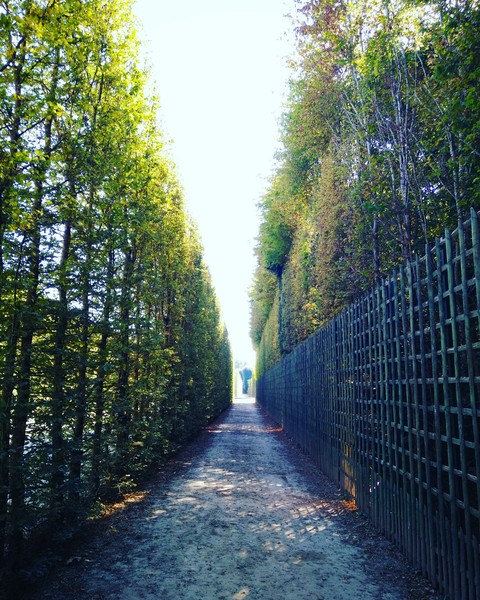 versailles , paris