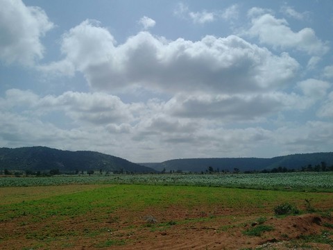 on a sunny day