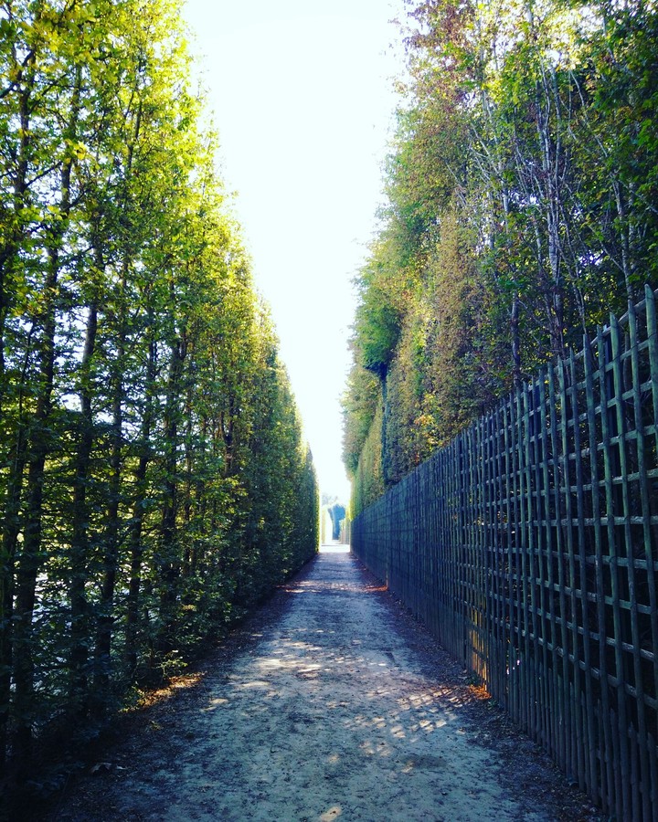 versailles , paris