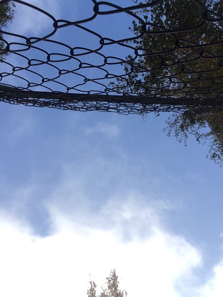grid.. wanderful sky... morning