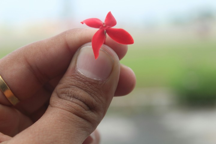 flower in hand.