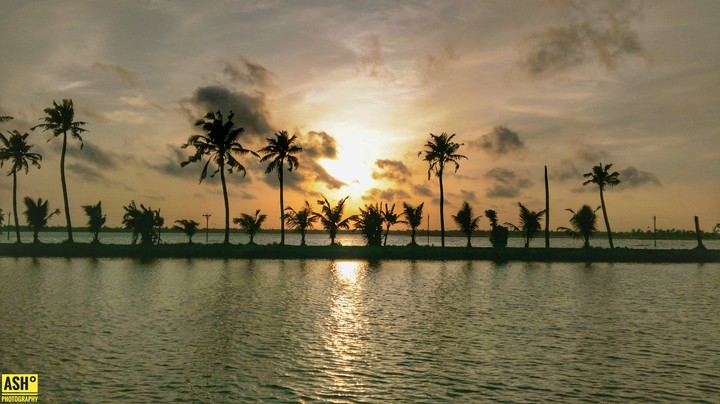 Sunset Sun