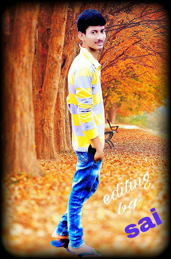 best dp
