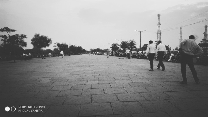 walk with freedom