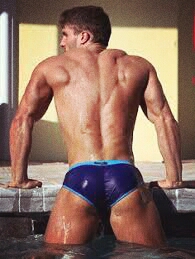 speedo