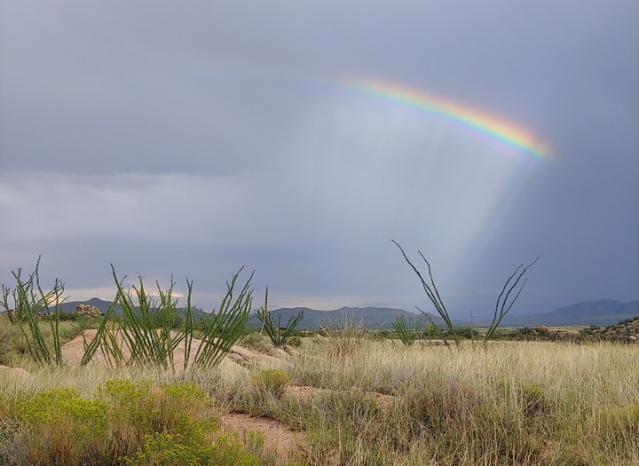 There's always a Rainbow