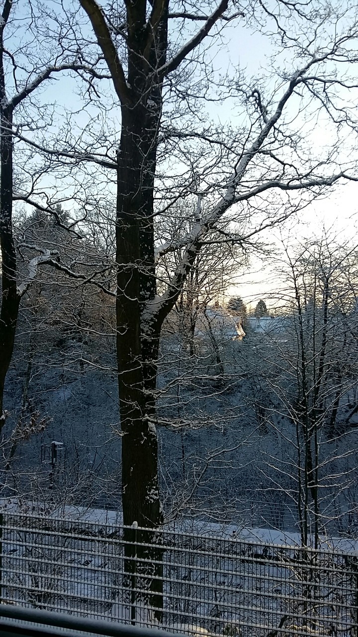winter tale