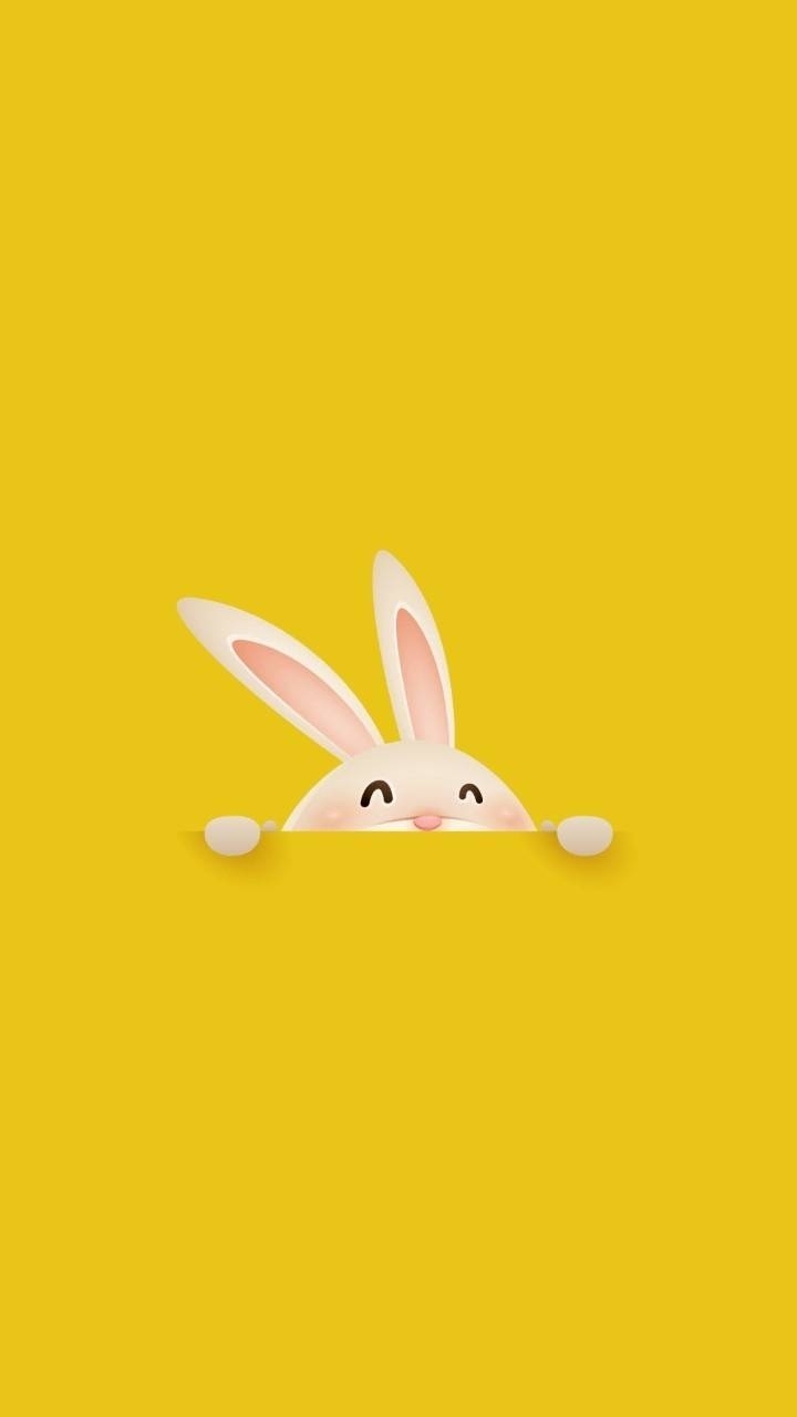 bunny