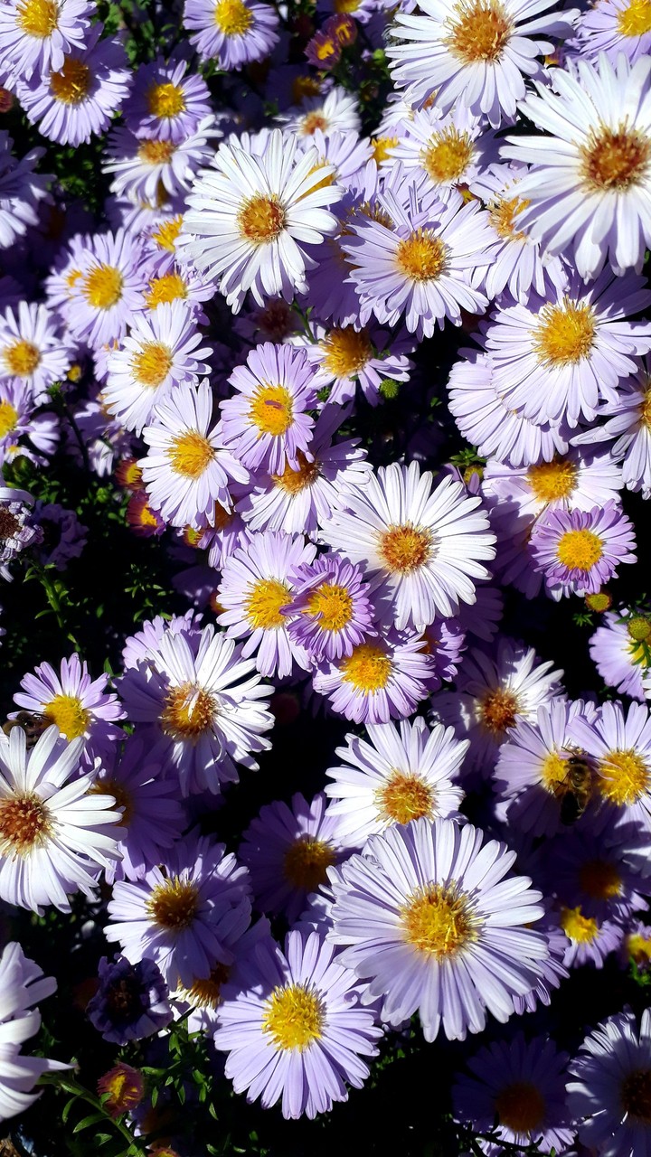 ♡