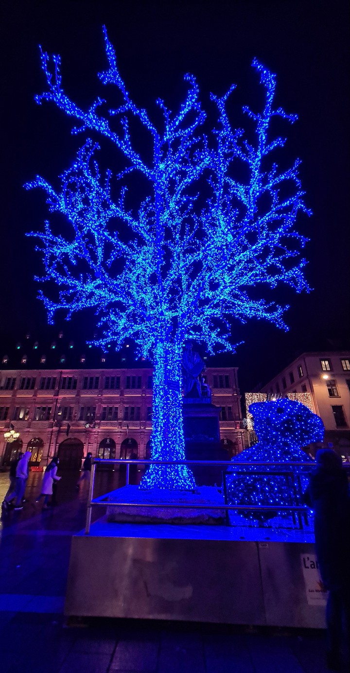 Another Christmas tree