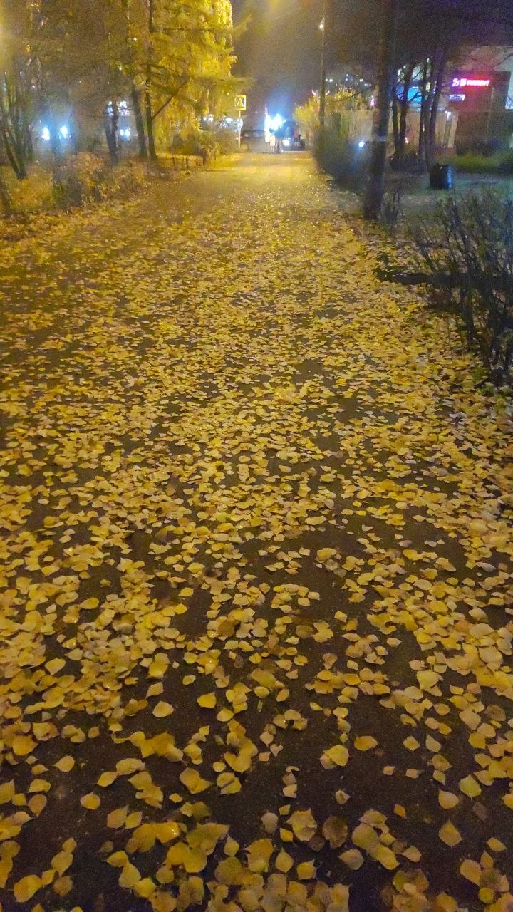 .