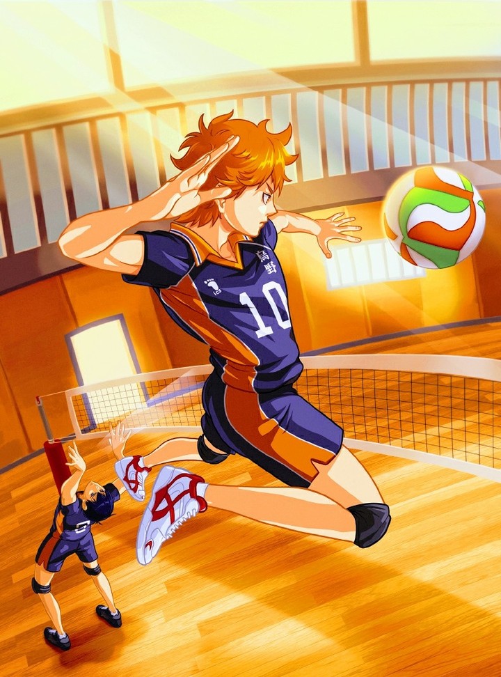voleibol