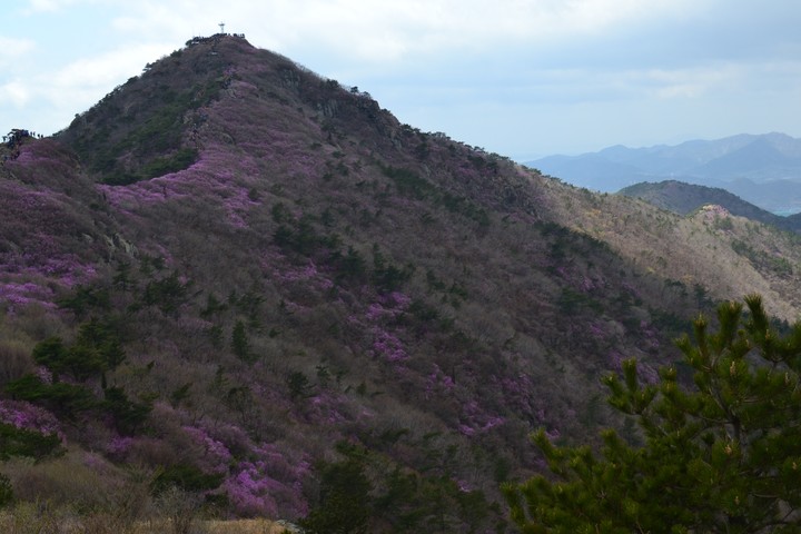 영취산이미지