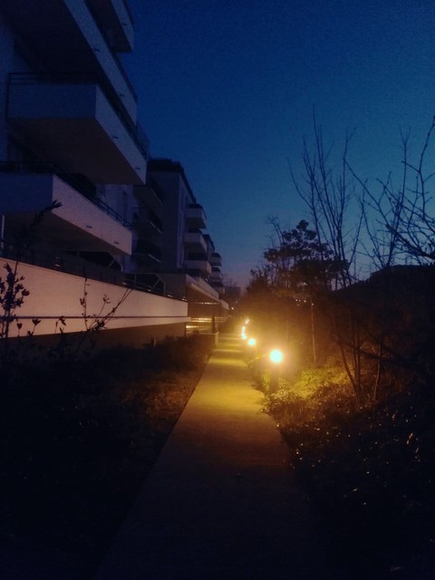 Chemin
