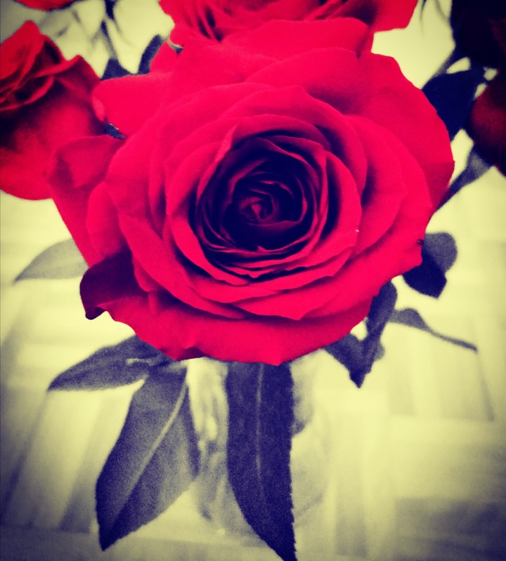 fleur d amour