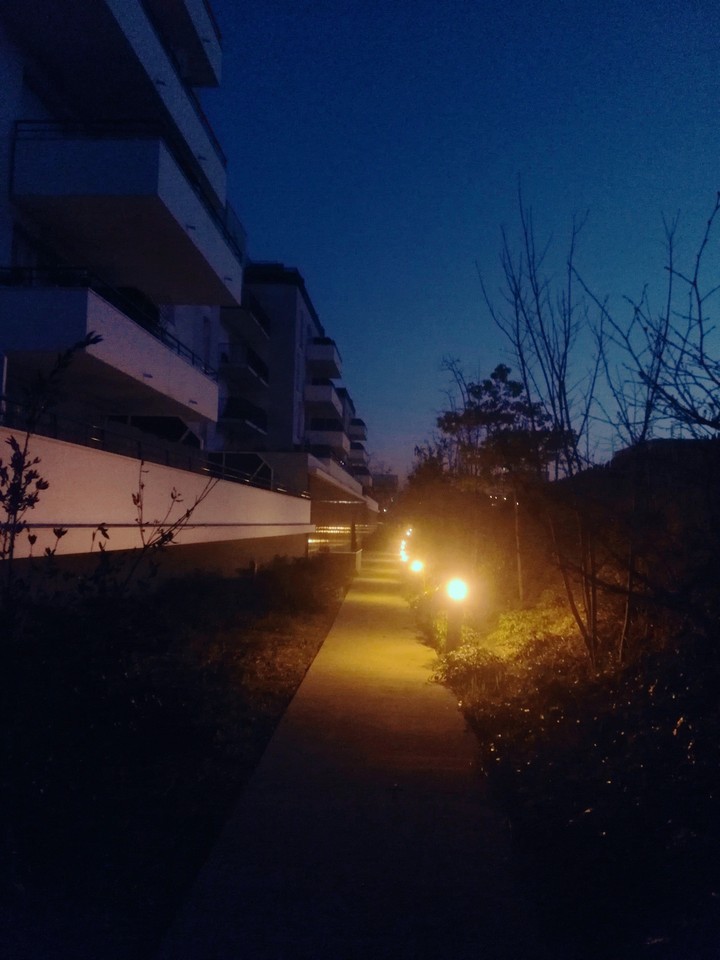 Chemin