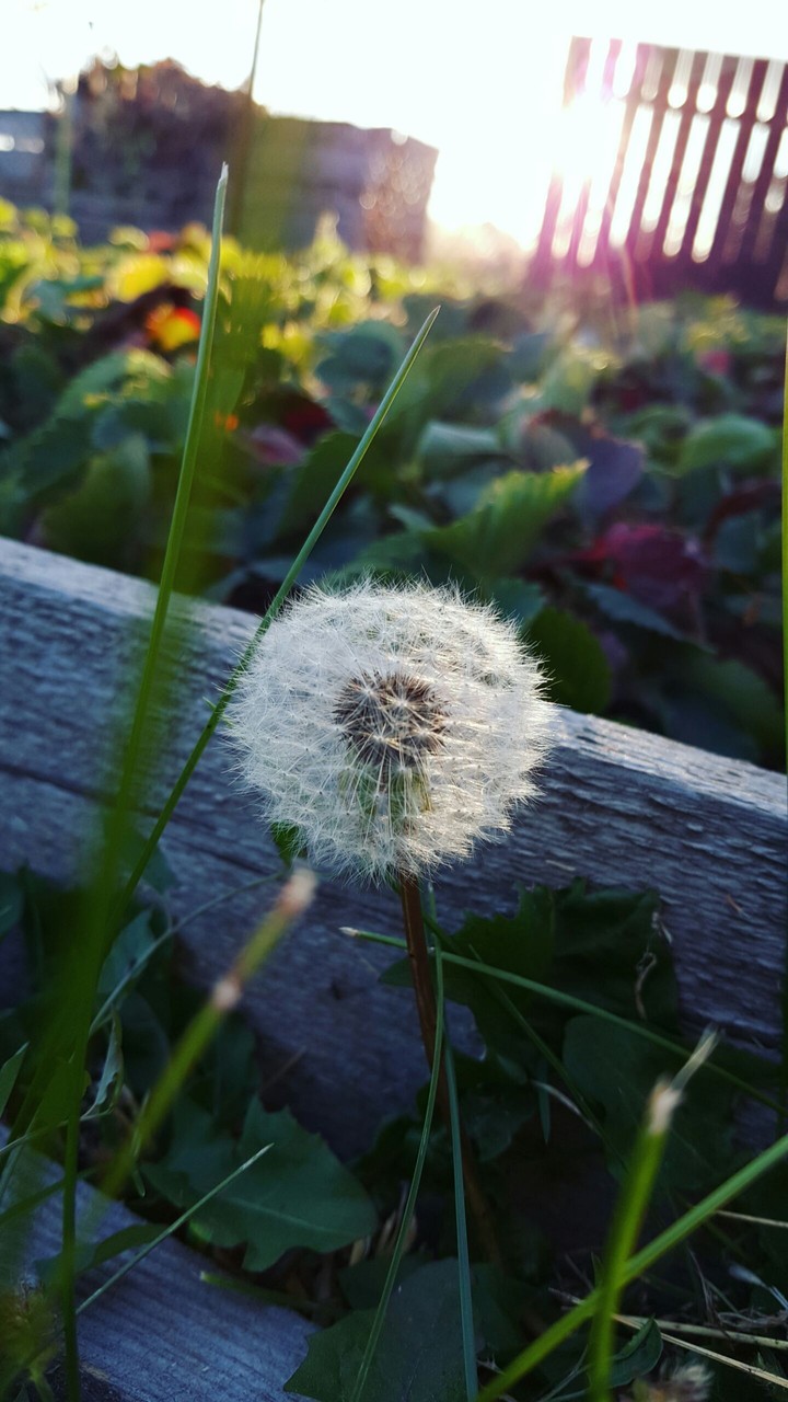 Hope..