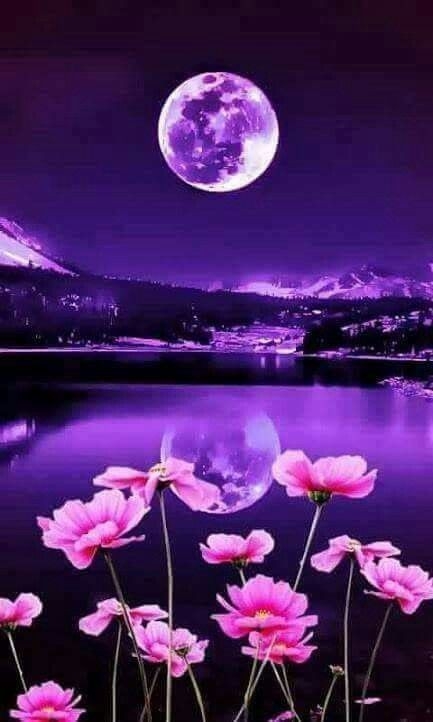 dream
