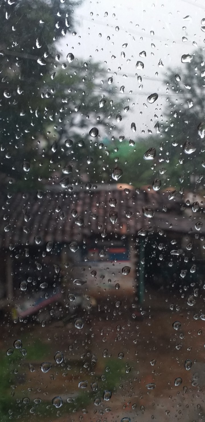 আবছায়া