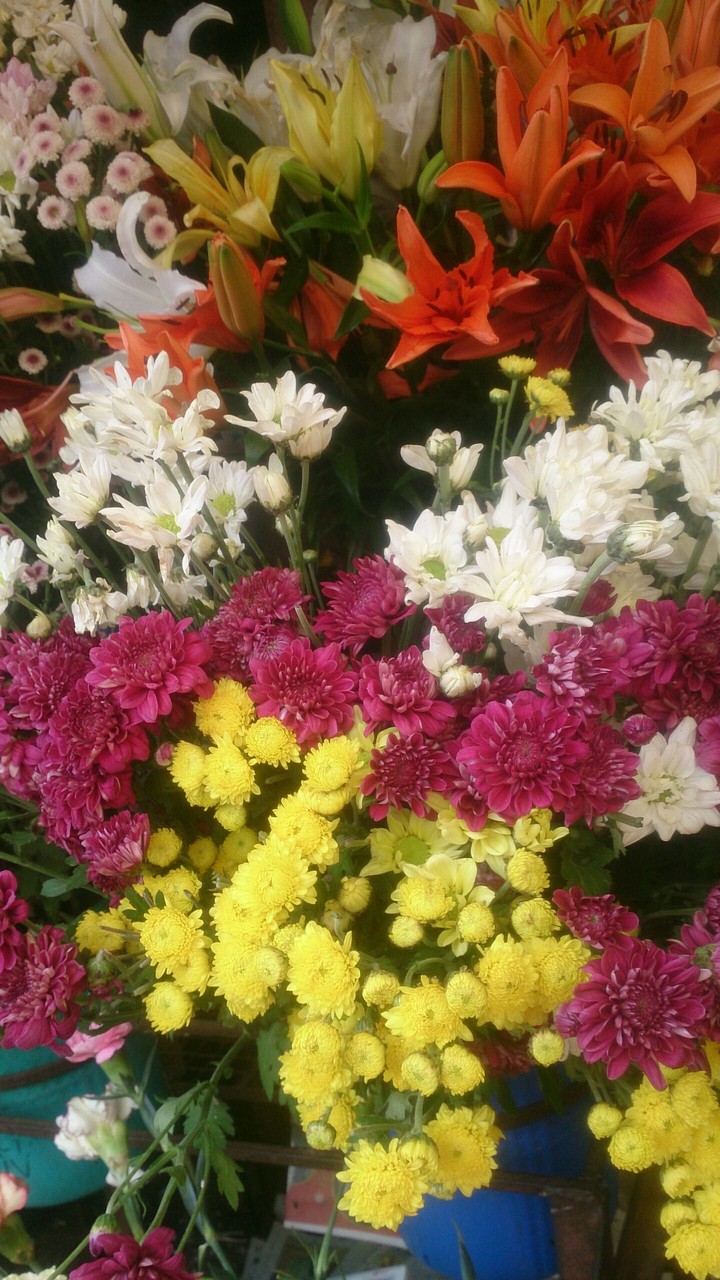 Flowers