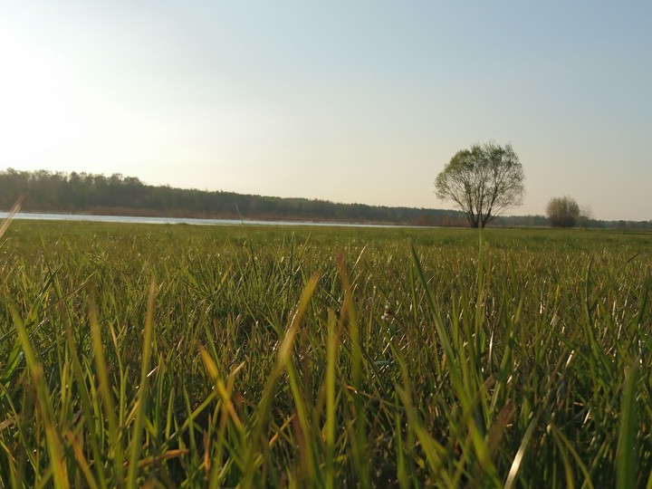 Summer is coming