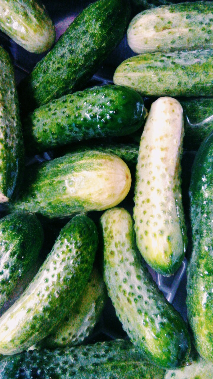 cucumbers