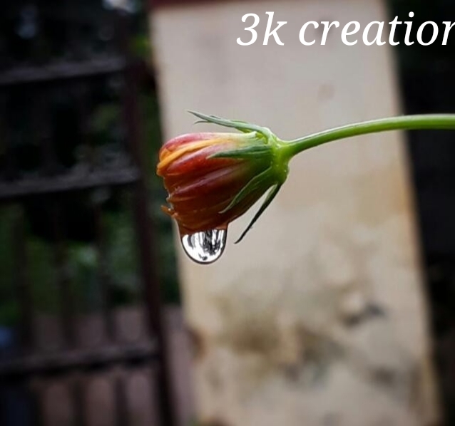 ma pic# 13 mp cam pic# ma 3k creations