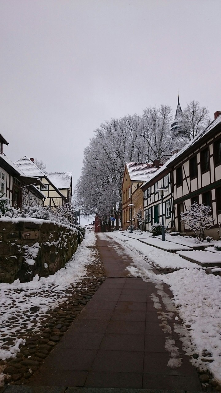 Snow Day