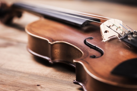 violin