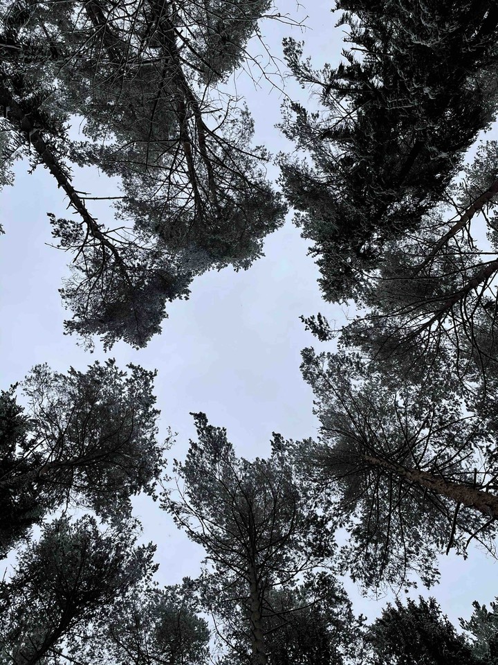 winter sky