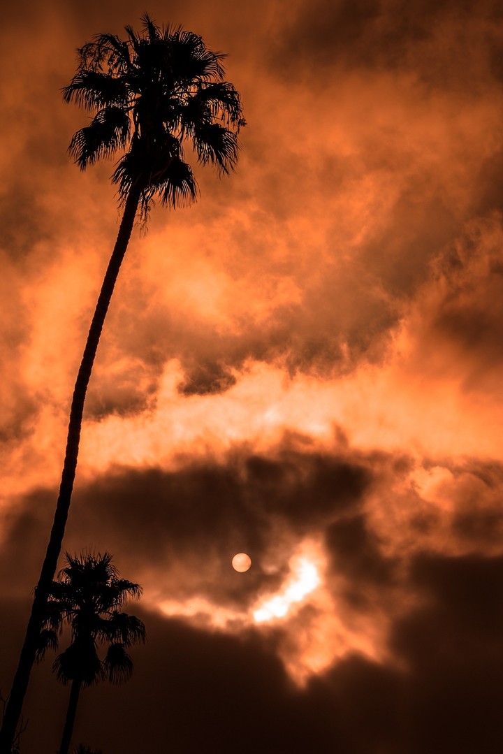 Golden Sky